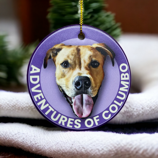 Custom Christmas Ornament